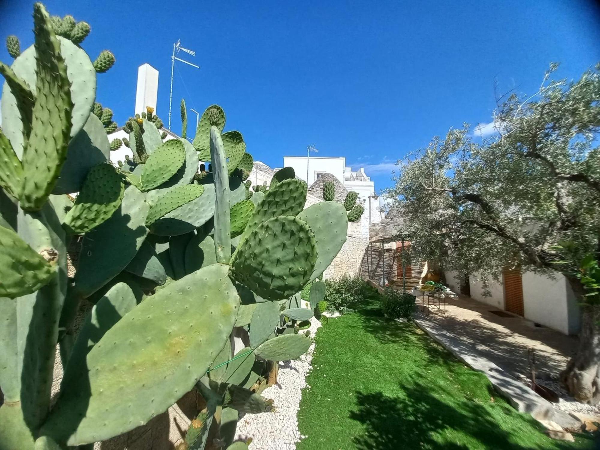 Trullo Vacanza Alberobello Ruang foto